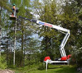 DINO XTC- Modely